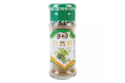 Lechang Cumin Powder 乐畅孜然粉 28gm（VIP会员价：RM8.90）